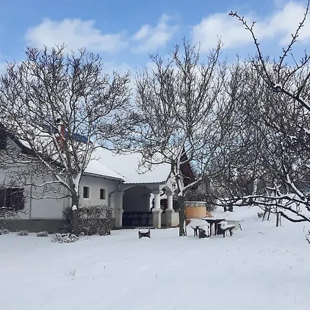 Pensjonat Istvan Pince Vendeghaz Zamárdi
